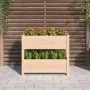 Jardinera de madera maciza de pino 77x25x66 cm de vidaXL, Maceteros y jardineras - Ref: Foro24-823941, Precio: 56,71 €, Descu...