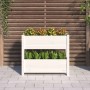 Jardinera de madera maciza de pino blanco 77x25x66 cm de vidaXL, Maceteros y jardineras - Ref: Foro24-823942, Precio: 64,25 €...