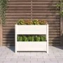 Solid white pine wood planter 77x25x66 cm by vidaXL, Pots and planters - Ref: Foro24-823942, Price: 64,25 €, Discount: %