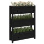 Jardinera de madera maciza de pino negro 77x25x104,5 cm de vidaXL, Maceteros y jardineras - Ref: Foro24-823938, Precio: 92,96...