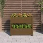 Honey brown solid pine wood planter 77x25x66 cm by vidaXL, Pots and planters - Ref: Foro24-823944, Price: 66,62 €, Discount: %