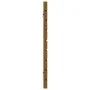 Wandbett-Kopfteil aus massivem Kiefernholz, honigbraun, 166 x 3 x 63 cm von vidaXL, Kopf- und Fußteile - Ref: Foro24-824751, ...