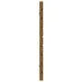 Wandbett-Kopfteil aus massivem Kiefernholz, honigbraun, 206 x 3 x 63 cm von vidaXL, Kopf- und Fußteile - Ref: Foro24-824721, ...