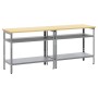 Conjunto de banco de trabajo 2 pcs Gris 200 x 55 x 85 cm Acero