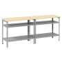 Conjunto de banco de trabajo 2 pcs Gris 200 x 55 x 85 cm Acero