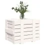 Aufbewahrungsbox aus massivem weißem Kiefernholz, 58 x 40,5 x 42 cm von vidaXL, Aufbewahrungskörbe - Ref: Foro24-824994, Prei...