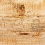 Mesa Consola 2 pcs Marrón Madera maciza de mango rugosa