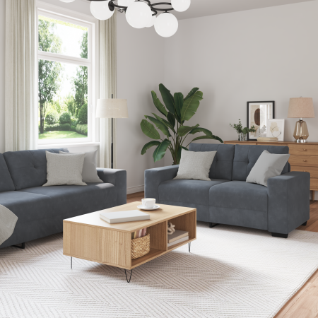 Juego de Sofá con cojín 3 pcs Gris 221 x 78 x 80 cm Terciopelo