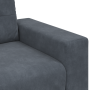 Juego de Sofá con cojín 3 pcs Gris 221 x 78 x 80 cm Terciopelo