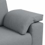 Juego de Sofá 2 pcs Gris claro 219 x 77 x 82 cm tela