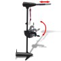 Motor eléctrico de arrastre para barco P22 46 lbs