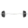 Curl Bar 30Kg by vidaXL, free weight - Ref: Foro24-90373, Price: 77,19 €, Discount: %