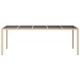 Mesa de jardín de vidrio templado ratán PE beige 250x100x75 cm