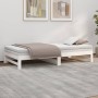 Sofá cama extraíble madera maciza de pino blanco 2x(100x200) cm