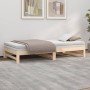 Removable sofa bed solid pine wood 2x(80x200) cm by vidaXL, Beds and slatted bases - Ref: Foro24-823409, Price: 128,21 €, Dis...