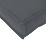 Juego de cojines de paleta 2 pcs Antracita 120 x 80 x 12 cm