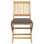 Silla Plegable con cojín 4 pcs Gris 49 x 57.5 x 92cm