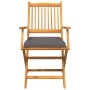 Silla Plegable con cojín 6 pcs Gris 49 x 57.5 x 92cm