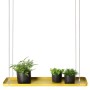 Esschert Design Bandeja colgante para plantas rectangular