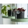 Esschert Design Green Round Hanging Planter Tray S by Esschert Design, Decorative trays - Ref: Foro24-441022, Price: 14,63 €,...