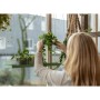 Esschert Design Green Rectangular Hanging Plant Tray L by Esschert Design, Decorative trays - Ref: Foro24-441025, Price: 19,8...