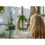 Esschert Design Green Rectangular Hanging Plant Tray L by Esschert Design, Decorative trays - Ref: Foro24-441025, Price: 19,8...