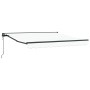 Toldo Retráctil Manual 300x250 cm tela