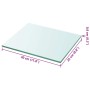 Panel de estante vidrio claro 30x25 cm