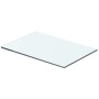 Panel de estante vidrio claro 40x20 cm
