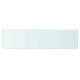 Panel de estante vidrio claro 60x15 cm