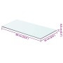 Panel de estante vidrio claro 60x25 cm