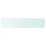 Panel de estante vidrio claro 70x15 cm