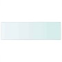Panel de estante vidrio claro 80x25 cm