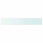 Panel de estante vidrio claro 90x15 cm en Estantes y estanterías | Comprar online en Foro24