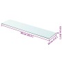 Panel de estante vidrio claro 90x20 cm