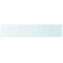 Panel de estante vidrio claro 100x20 cm