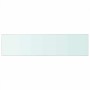 Panel de estante vidrio claro 100x25 cm