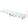 Panel de estante vidrio claro 100x25 cm