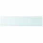 Panel de estante vidrio claro 110x25 cm