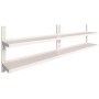 Schweberegale 2 Ebenen 2 Einheiten Edelstahl 300x30cm von vidaXL, Regale und Regale - Ref: Foro24-3055901, Preis: 320,88 €, R...