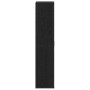 Armario para Zapatos con puerta Negro 80 x 39 x 180 cm