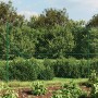 Grüner Drahtzaun 1,6x10 m von vidaXL, Zaunpaneele - Ref: Foro24-153908, Preis: 79,30 €, Rabatt: %