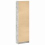 Armario Gris hormigón 55 x 25 x 189 cm Madera contrachapada
