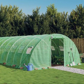 Invernadero con estructura de acero verde 24 m² 6x4x2 m