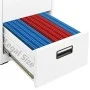 Armario archivador de acero blanco 46x62x133 cm de vidaXL, Armarios archivadores - Ref: Foro24-336278, Precio: 258,92 €, Desc...