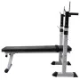 Exercise bench with weight support, dumbbells and dumbbells 60.5 kg by vidaXL, Weight lifting machines - Ref: Foro24-275361, ...