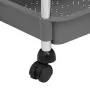 Küchenwagen 5 Ebenen Eisen und ABS grau 42x29x128 cm von vidaXL, Küchen- und Speisewagen - Ref: Foro24-336333, Preis: 45,05 €...