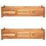 Hochbeete 2 Stück Akazienholz 100x30x25 cm von vidaXL, Töpfe und Pflanzgefäße - Ref: Foro24-3057522, Preis: 165,73 €, Rabatt: %
