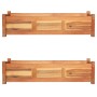 Hochbeete 2 Stück Akazienholz 100x30x25 cm von vidaXL, Töpfe und Pflanzgefäße - Ref: Foro24-3057522, Preis: 169,71 €, Rabatt: %