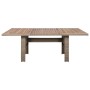 Set de comedor jardín 9 pzas y cojines ratán sintético marrón